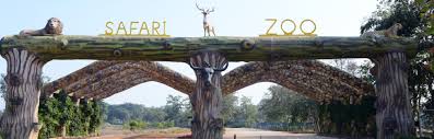 Jungle Safari Zoo